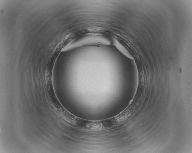 X0000068320559200604241341