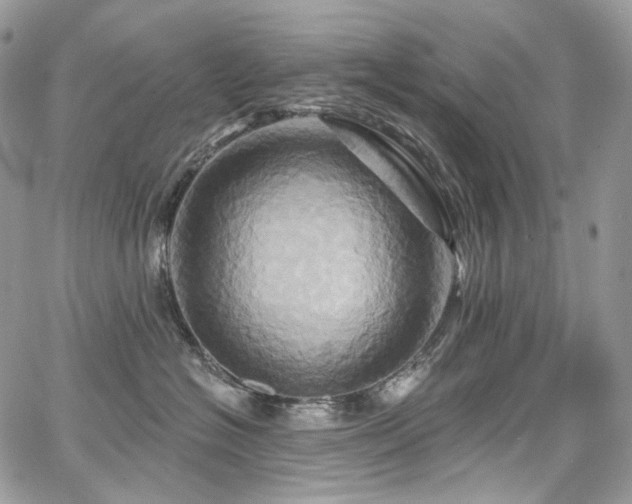 X0000068320574200604241342