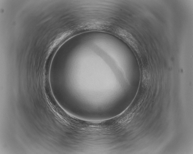 X0000068320578200604241341