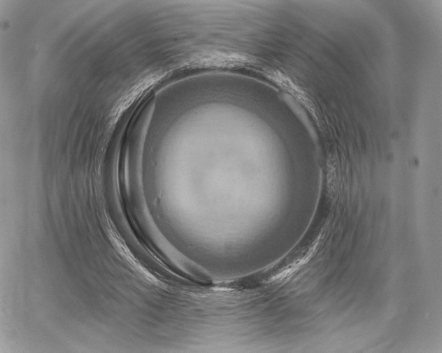 X0000068320581200604241341