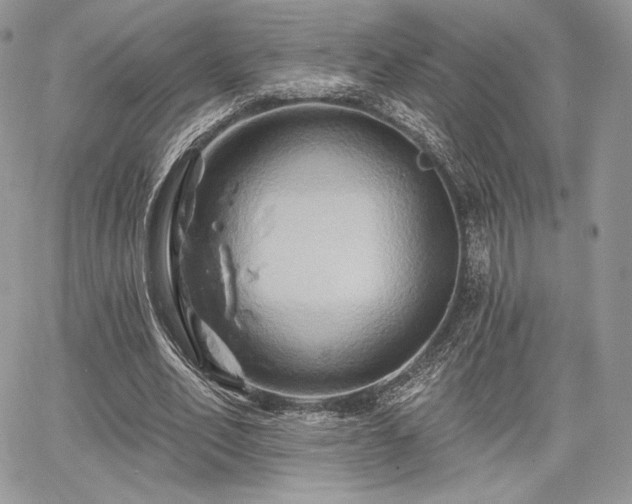 X0000068320582200604241341