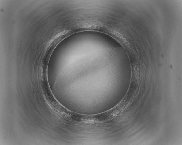 X0000068320587200604241341