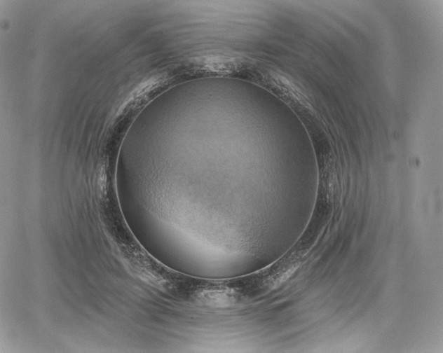 X0000068320595200604241340