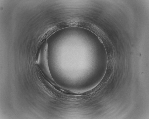 X0000068320601200604241340