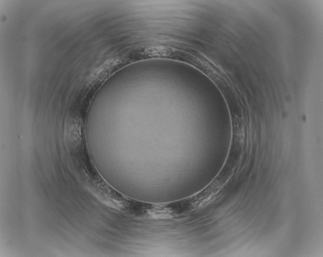 X0000068320603200604241340
