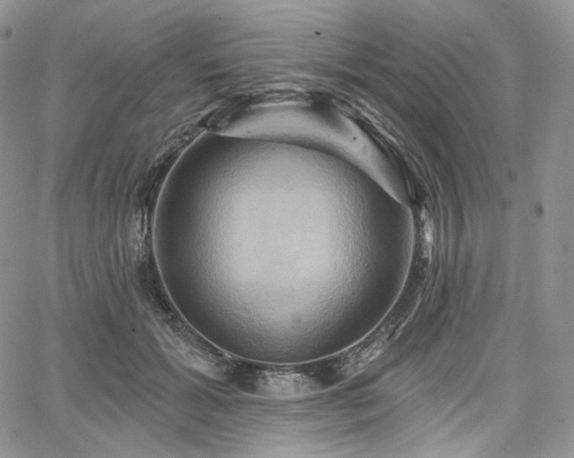 X0000068320605200604241340