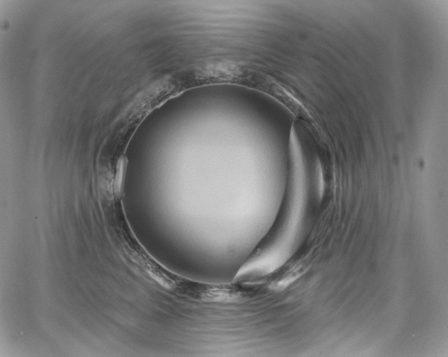 X0000068320617200604241340