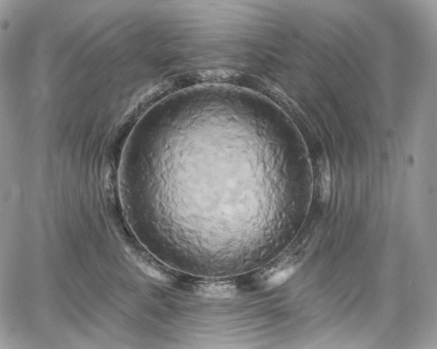 X0000068320619200604241340