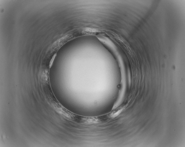 X0000068320621200604241340