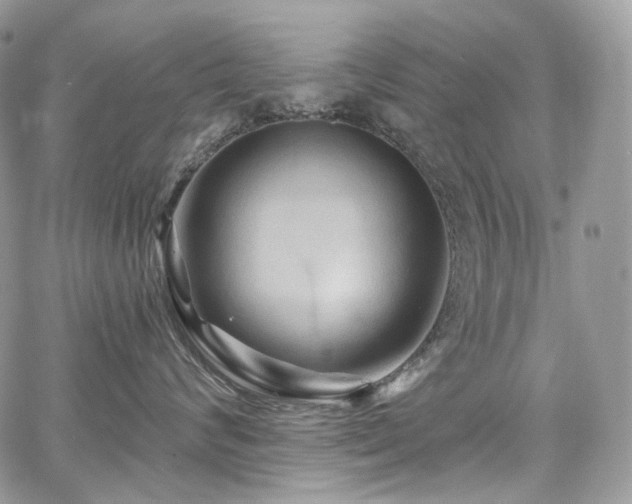 X0000068320624200604241340