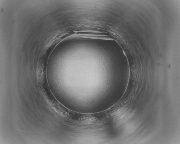 X0000068320642200604241339