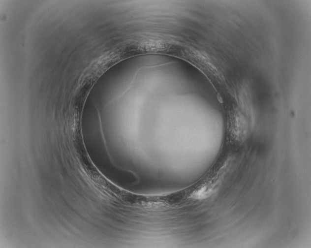 X0000068320645200604241340