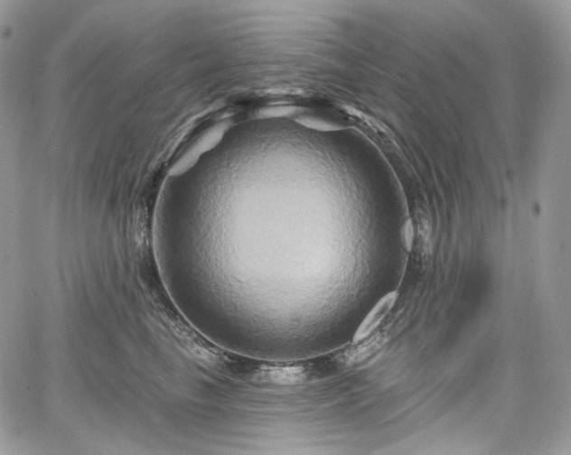 X0000068320665200604241340