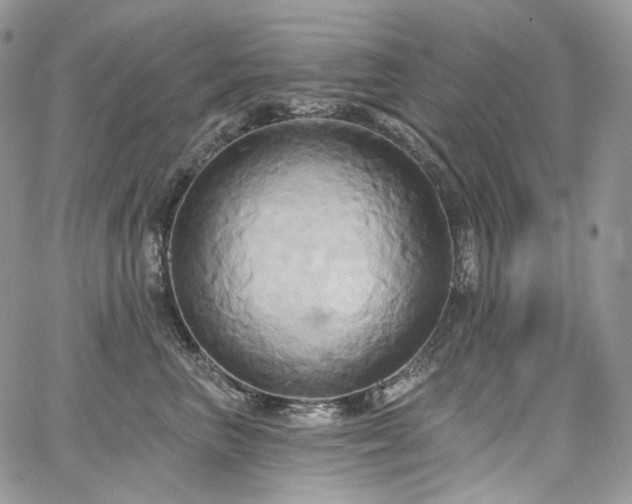 X0000068320667200604241340