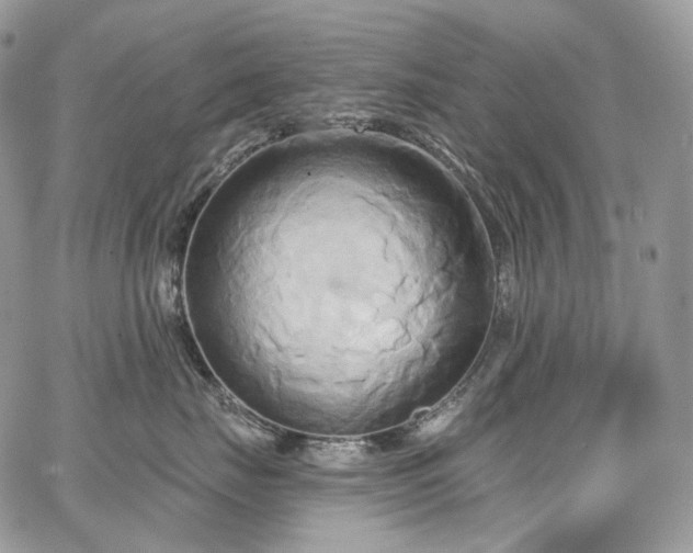 X0000068320671200604241340