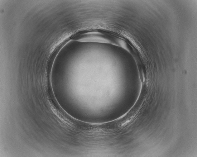 X0000068320677200604241339