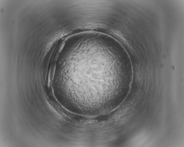 X0000068320683200604241339