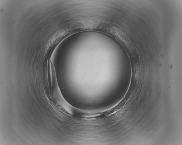X0000068320685200604241339