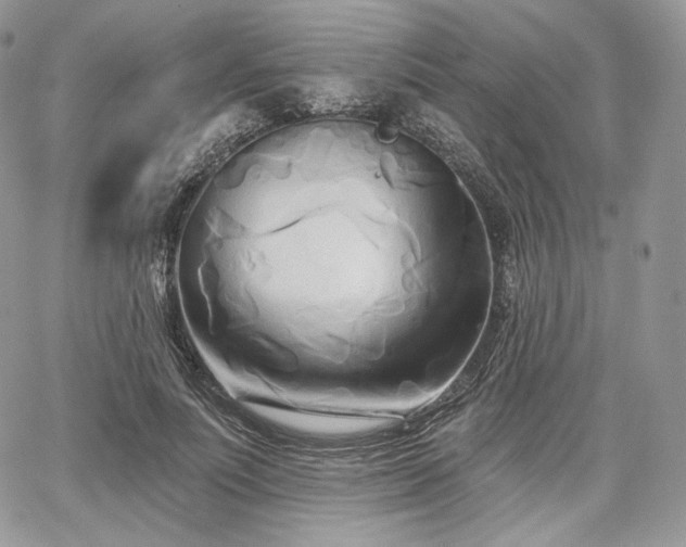 X0000068320691200604241339
