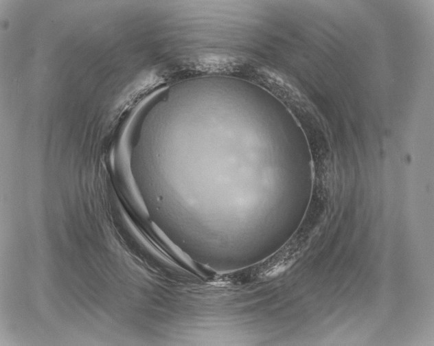 X0000068320696200604241339