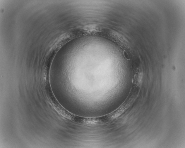 X0000068320710200604241339