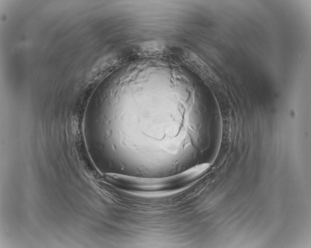 X0000068320711200604241339