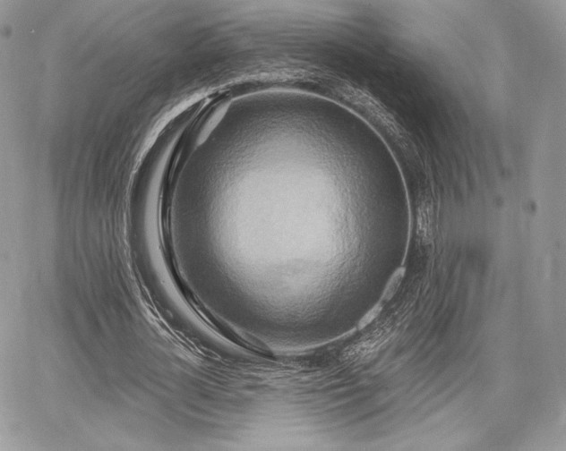 X0000068320724200604241338