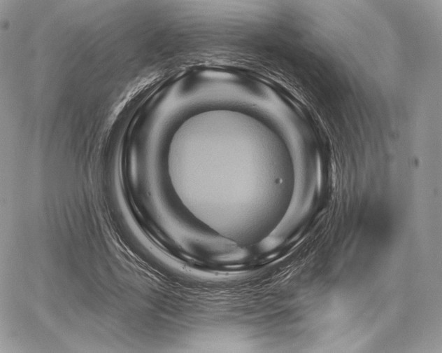 X0000068320731200604241338