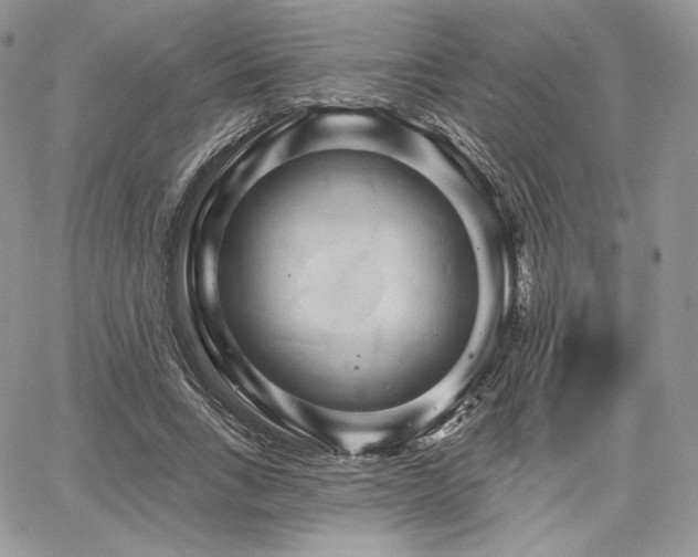 X0000068320735200604241338