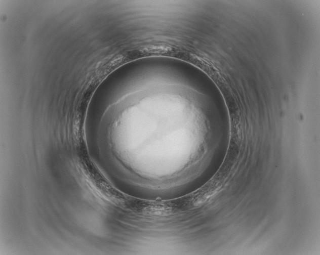 X0000068320745200604241338
