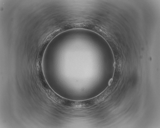 X0000068320746200604241338