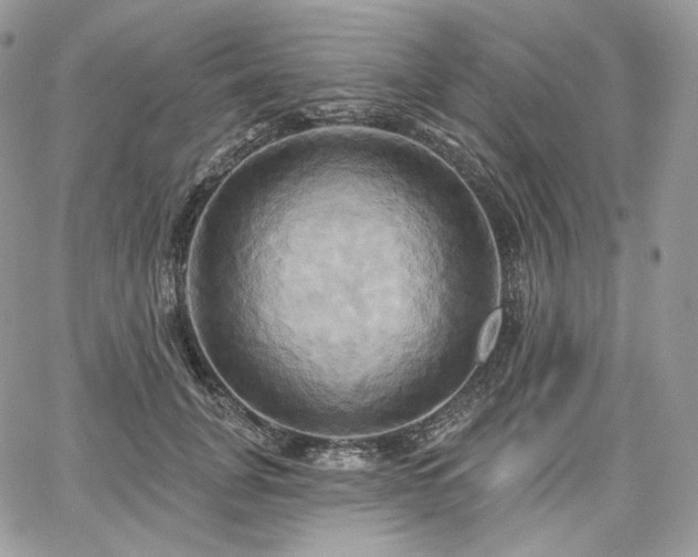 X0000068320751200604241338