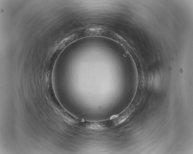 X0000068320759200604241338