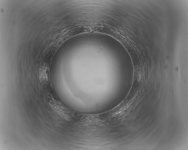 X0000068320770200604241338