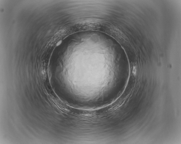 X0000068320771200604241338