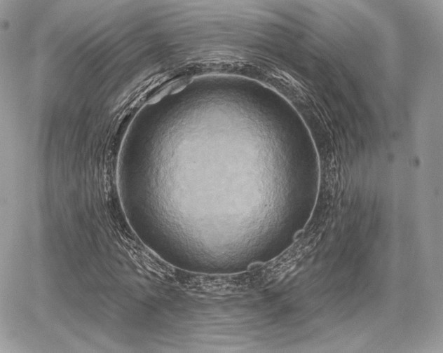 X0000068320774200604241337