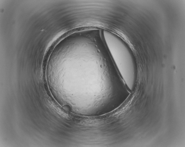X0000068320780200604241337