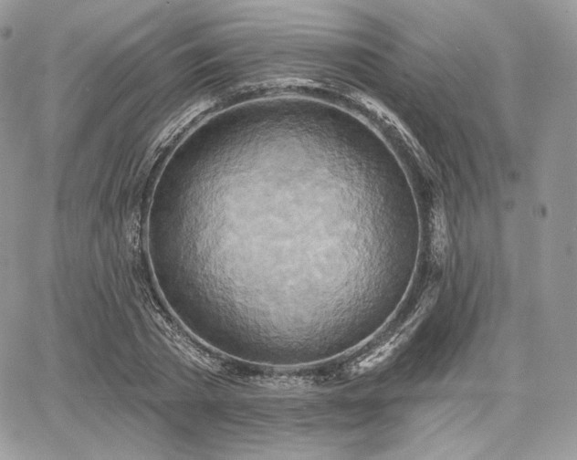 X0000068320785200604241337