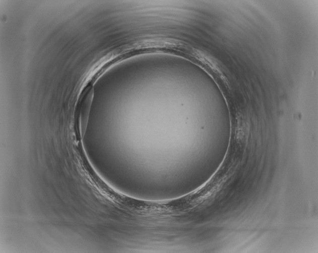 X0000068320786200604241337