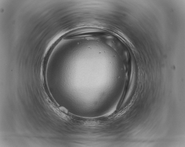 X0000068320788200604241337