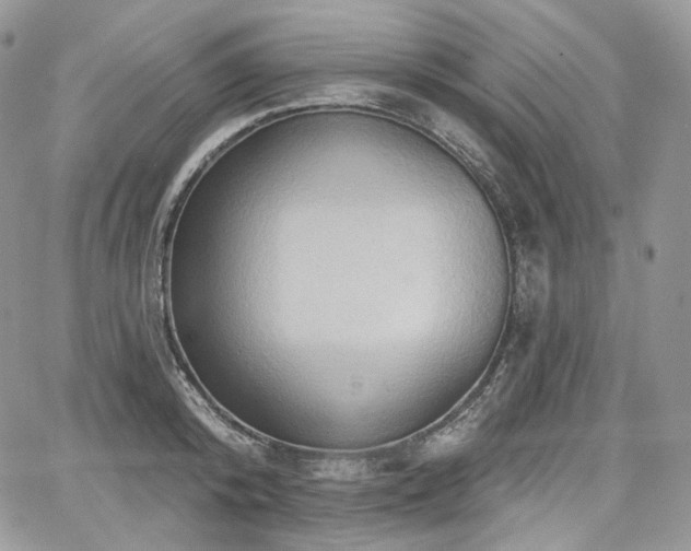 X0000068320800200604241337