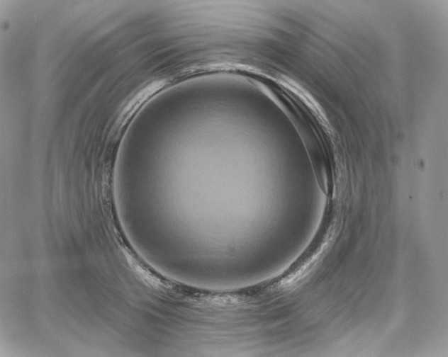 X0000068320801200604241337