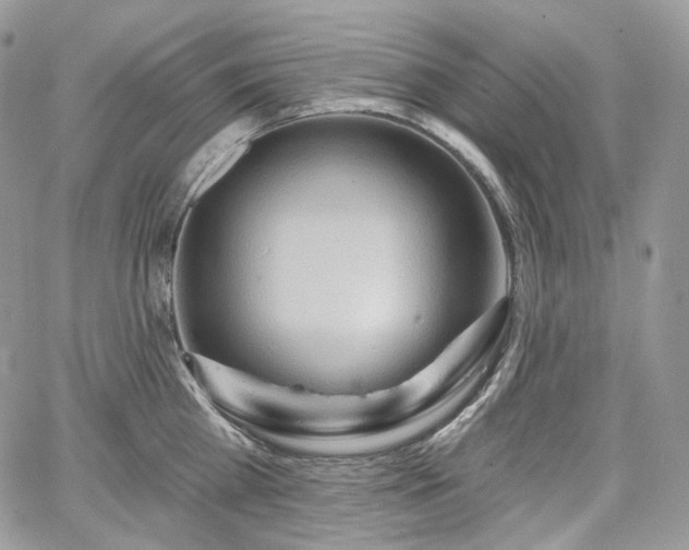 X0000068320809200604241337