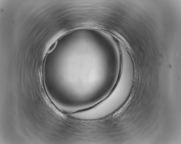 X0000068320812200604241337