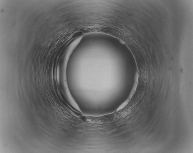 X0000068320818200604241336
