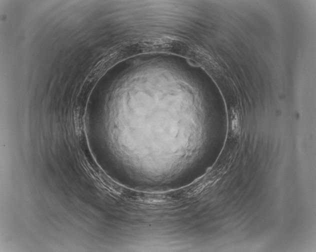 X0000068320819200604241336