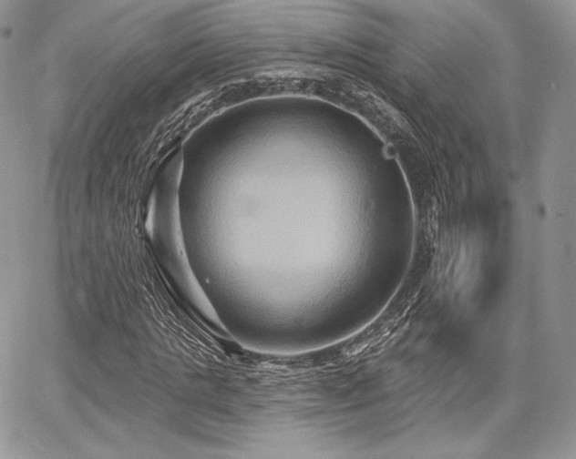 X0000068320821200604241336