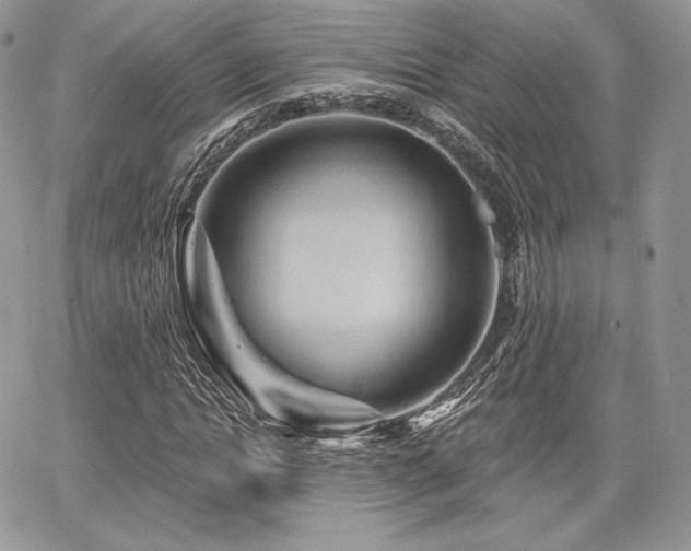 X0000068320822200604241336