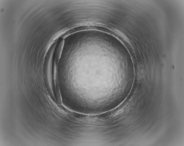 X0000068320831200604241336