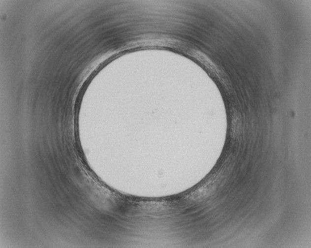 X0000068320836200604241336